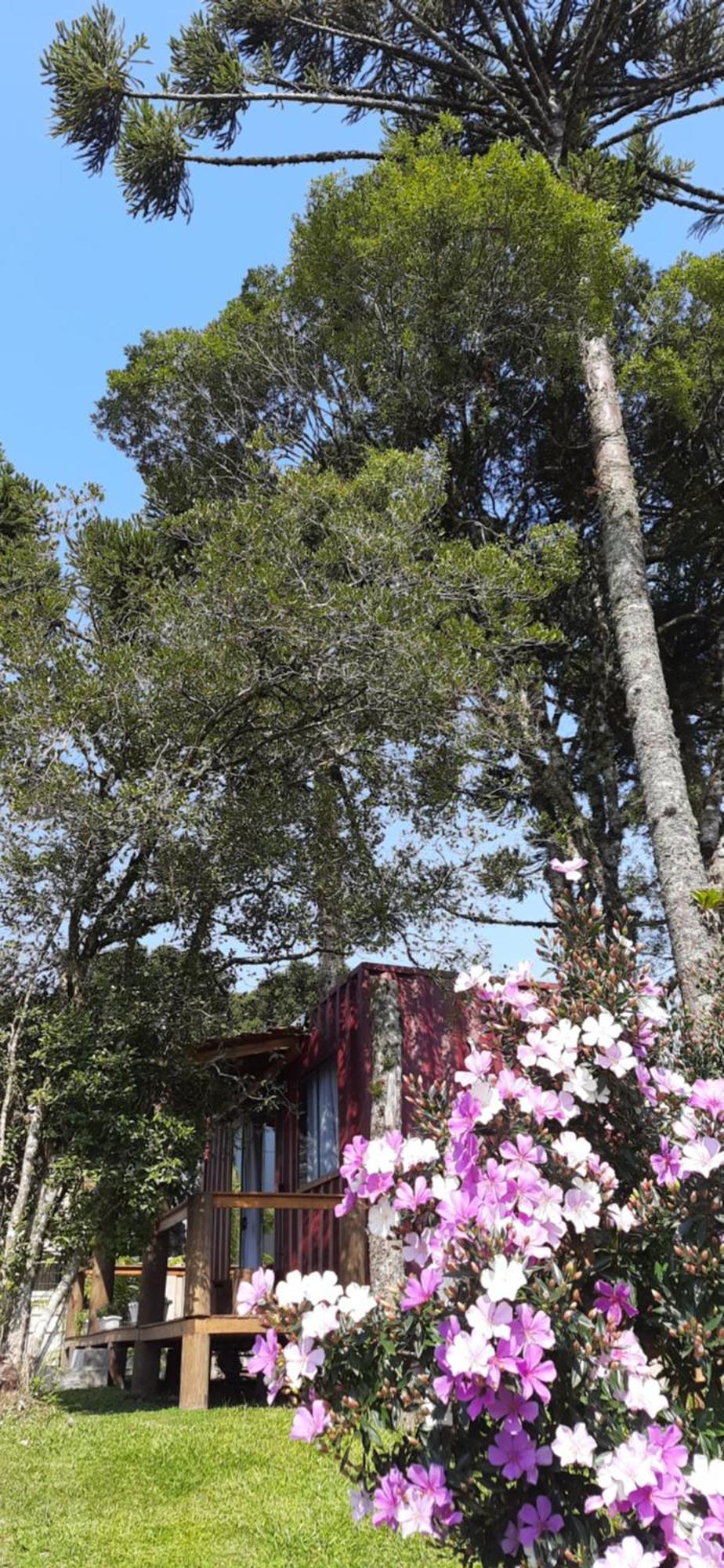 Recanto Das Gralhas São Francisco de Paula Εξωτερικό φωτογραφία